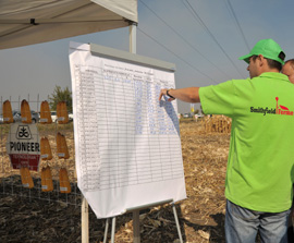 SmithField Ferme si Pioneer