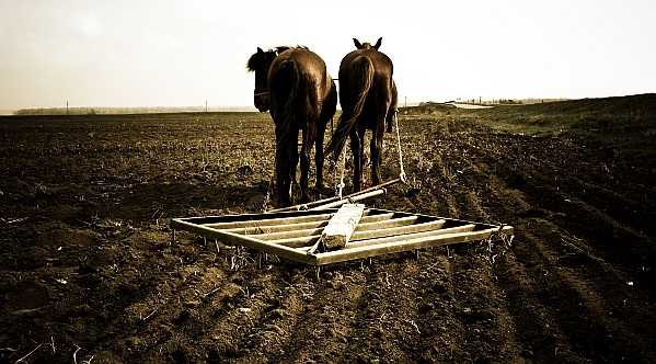 agricultura-dezbatere-romania agricultura-dezbatere-romania