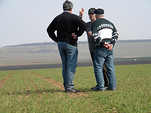 agroadvice-coonsultanta-tehnica-agricultura