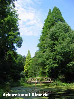arboretum-simeria