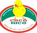 avicola-buzau-coco-rico