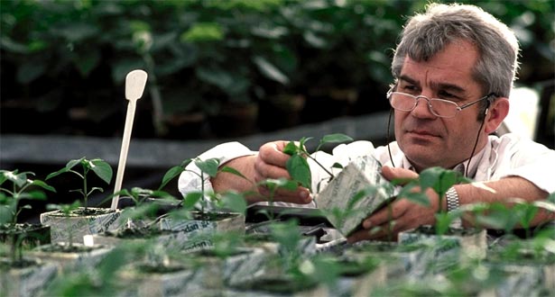 cercetare-produse-agricole cercetare-produse-agricole