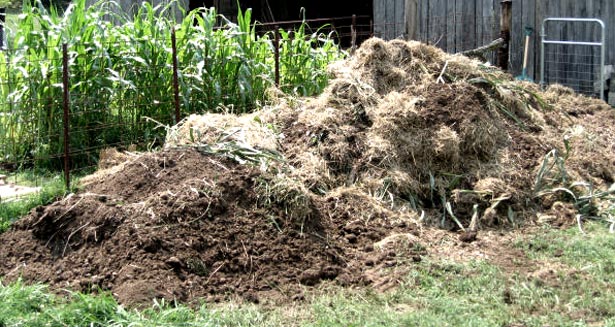 compost-ferma