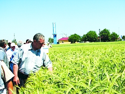 ferma-agricover