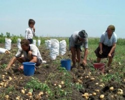 tineri fermieri fonduri subventii