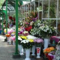 florarie