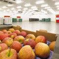 fructe-depozit-import Importurile de fructe, in scadere