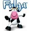 fulga_3d