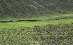 grau-verde-primavara-sol-rezerva-apa