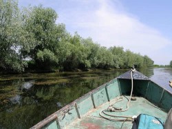 pescuit-delta-dunarii Se modifica legea 317/2009, legea pescuitului