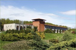 poza-institut-maracineni