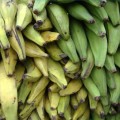 transport-banane