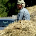 Terenuri agricole: ori faci facultate, ori te lași de meserie!