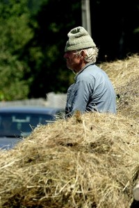 agricultura-studii-de-specialitate-terenuri-agricole-romania