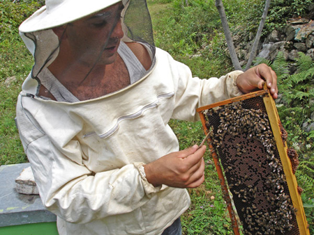 calendar-apicultura-iunie