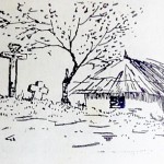 Cântecul cununii, obicei la sfârşitul secerișului