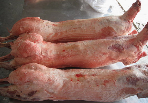 carne-miel-2014