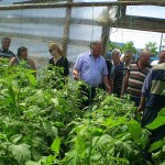 demonstratie practica ploscuteni ferma solar legume
