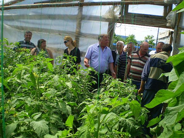 demonstratie practica ploscuteni ferma solar legume