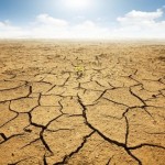 Hotărâre pentru aprobarea normelor metodologice pentru aplicarea prevederilor Ordonanţei de urgenţă a guvernului nr. 64/2013 privind înfiinţarea şi acreditarea fondurilor mutuale pentru gestionarea riscurilor în agricultură şi acordarea de compensaţii financiare membrilor pentru pierderile economice cauzate de boli ale animalelor, ale plantelor sau de un incident de mediu