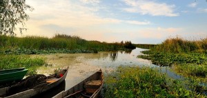 pescuit-delta-dunarii