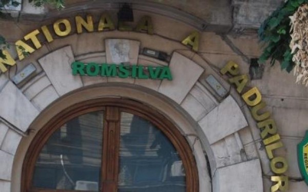 romsilva-buget-2014
