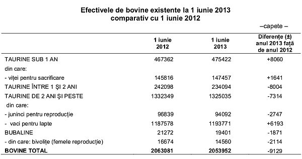 statistici-bovine-2013-statistici-zootehnie