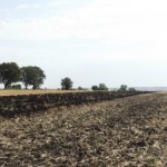 Zilele Agriculturii Româneşti – 24 aprilie, la Bucureşti
