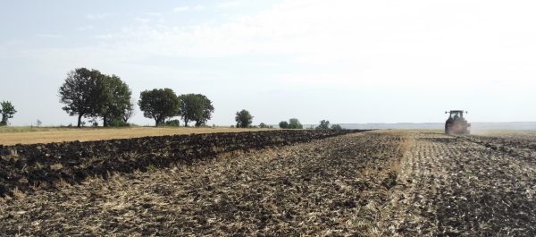 zilele-agriculturii-romanesti